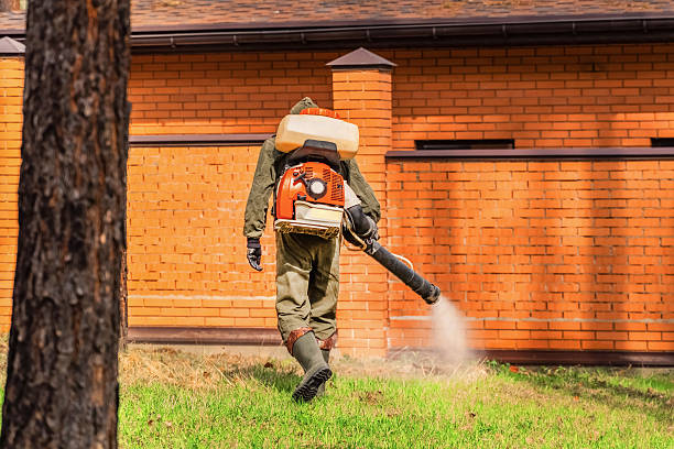 Bed Bug Clearance Verification and Documentation in Centennial